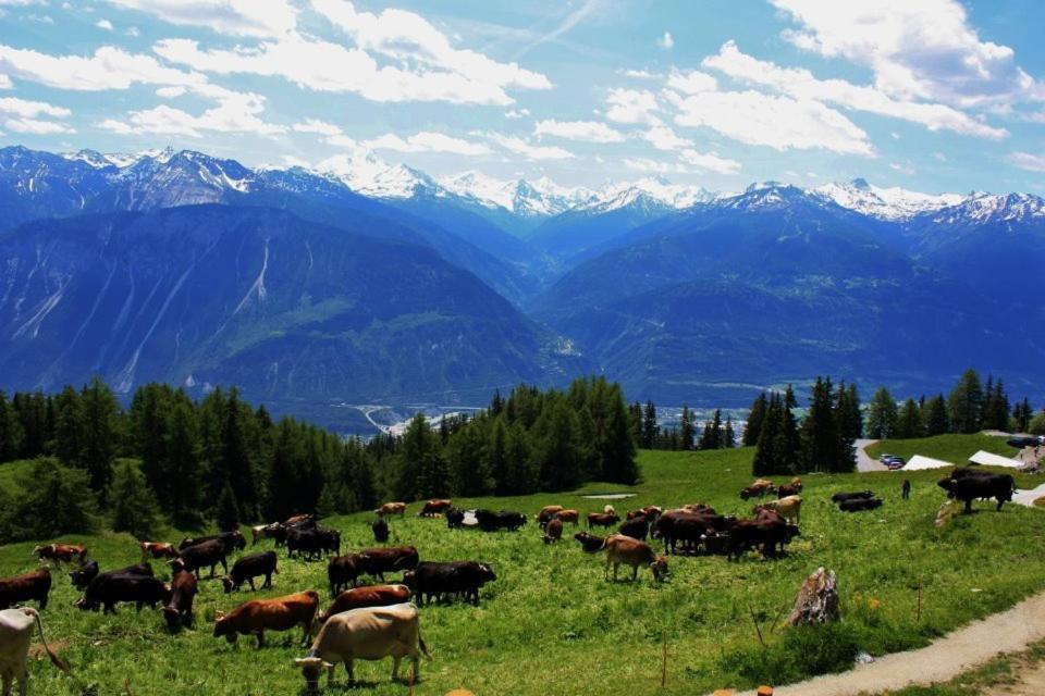 Le Mayen De Colombire Crans-Montana Luaran gambar