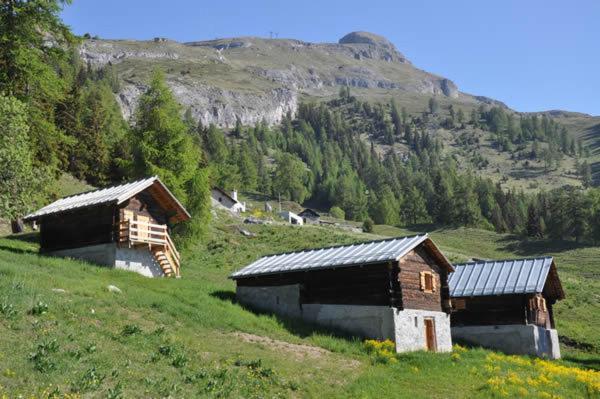 Le Mayen De Colombire Crans-Montana Luaran gambar